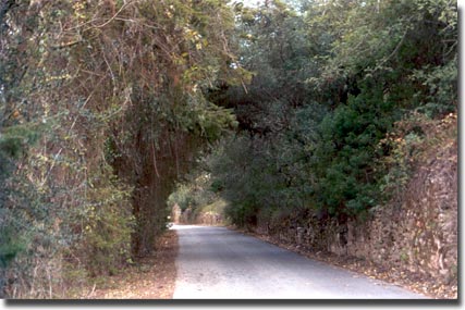 Clique para aumentar