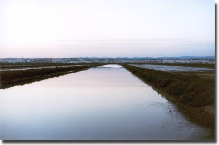 Salinas de Tavira